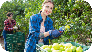 CDD ou intérim : quelle option choisir pour vos contrats saisonniers ?
